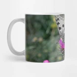 Polka Dots Butterfly Purple Flower Closeup Mug